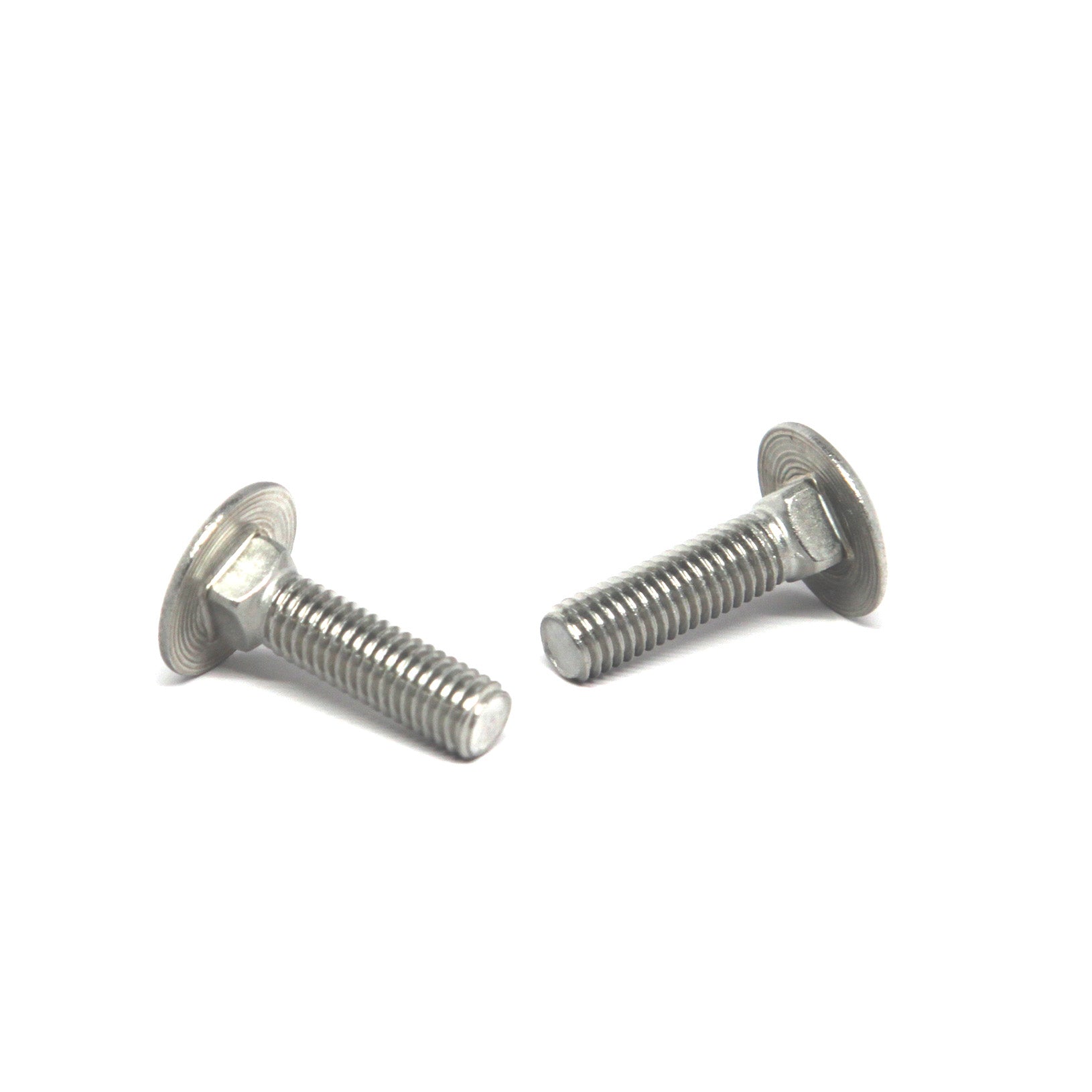 Stainless Steel M8-1.25 X 25 Carriage Bolt Intersan/AquaDesign