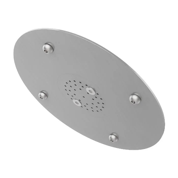 Ligature resistant rain shower head